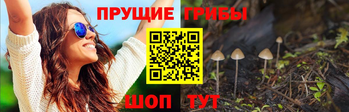 Галлюциногенные грибы ЛСД  Вход с VPN  цены   Новочебоксарск 